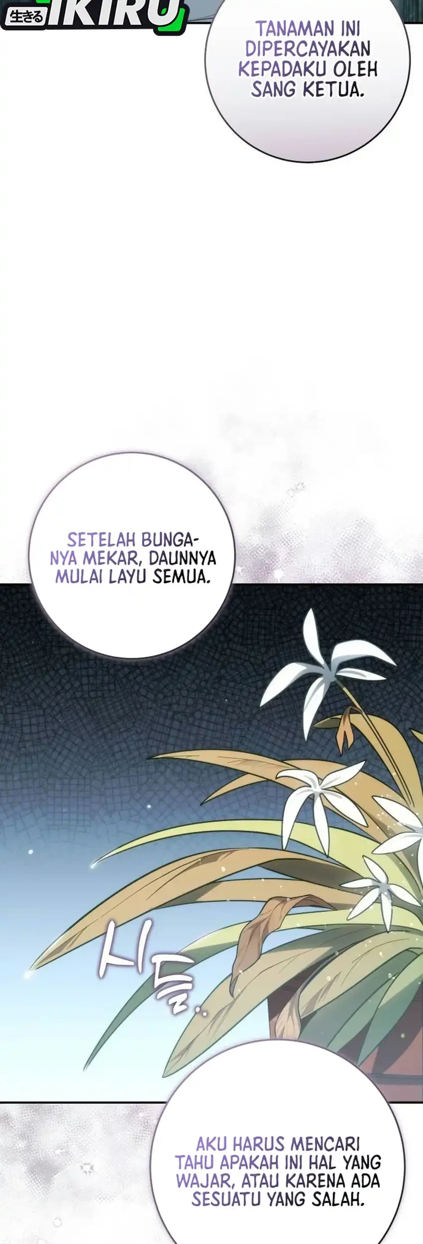 Healing With Drubly Chapter 29 Gambar 50