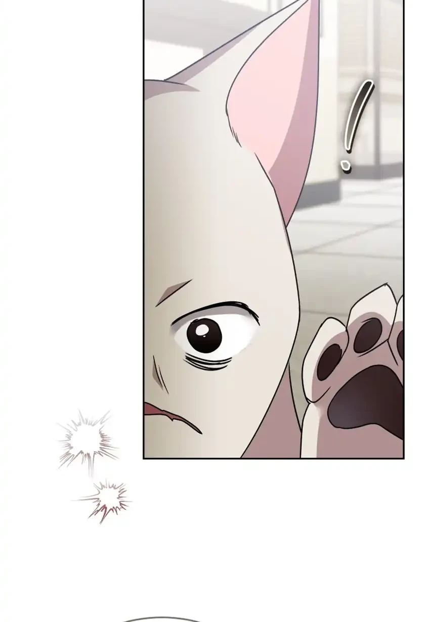 Hello? Veterinarian! Chapter 117 Gambar 28