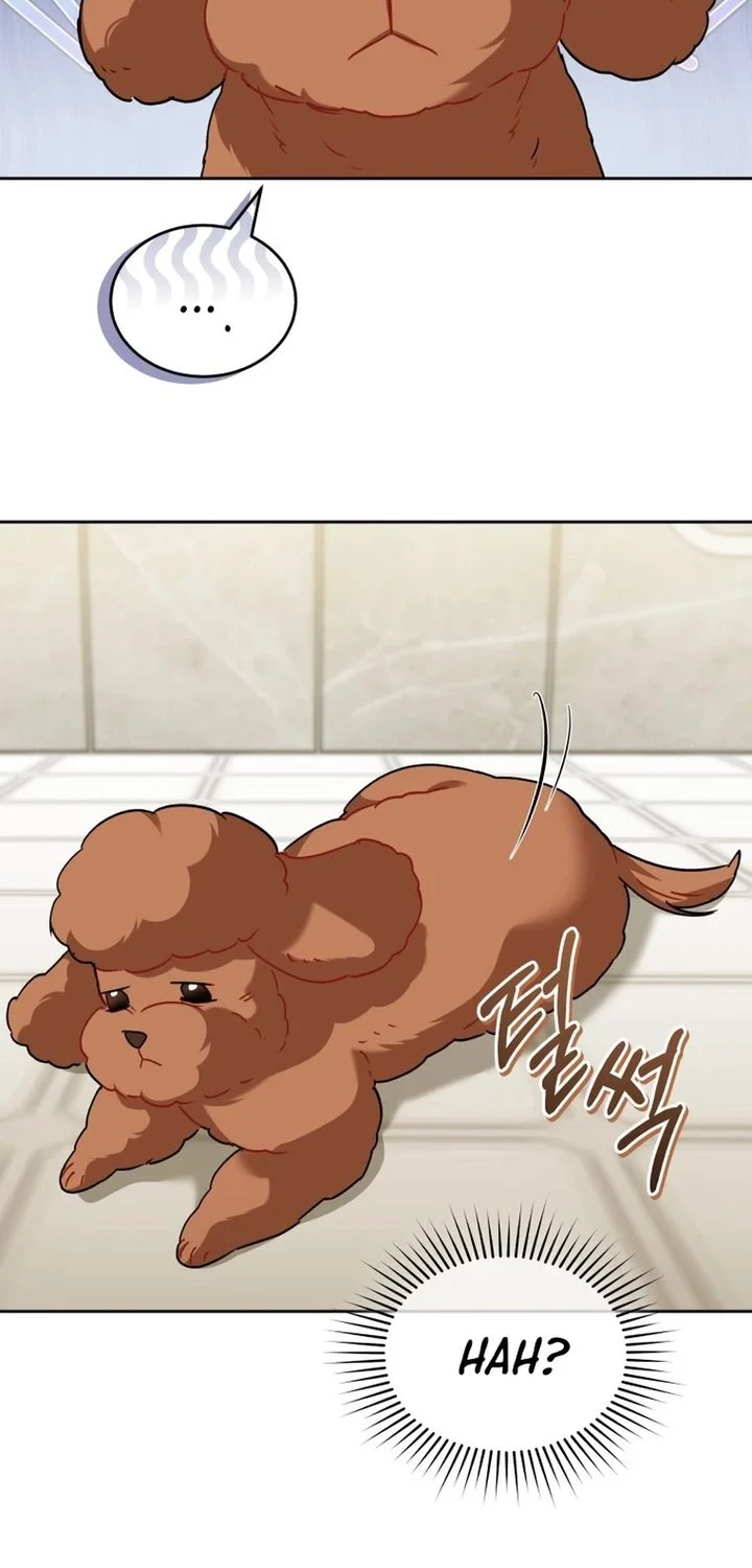 Hello? Veterinarian! Chapter 139 Gambar 29