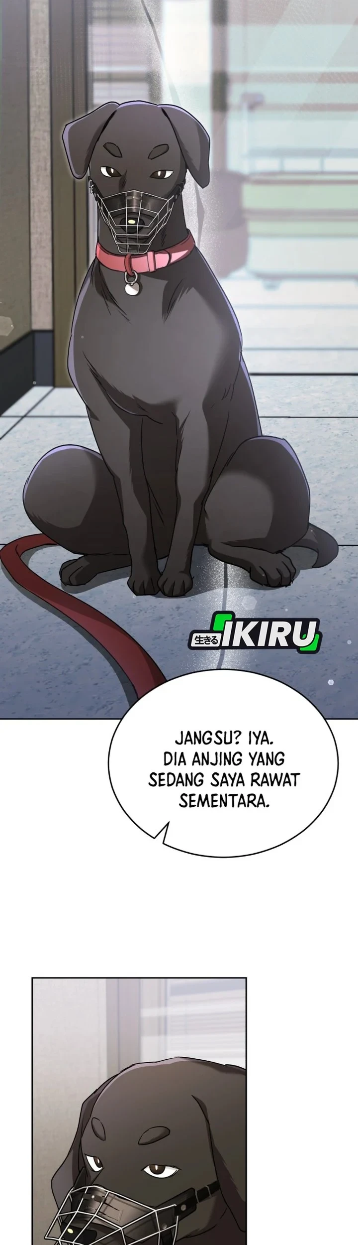 Hello? Veterinarian! Chapter 144 Gambar 31