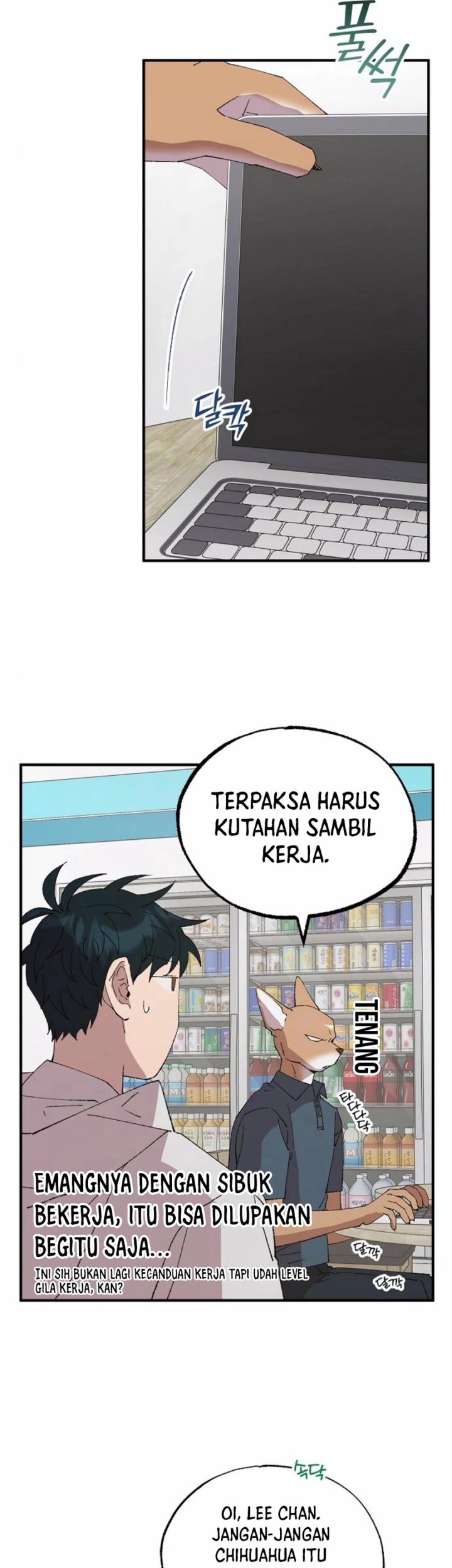 Halaman 17
