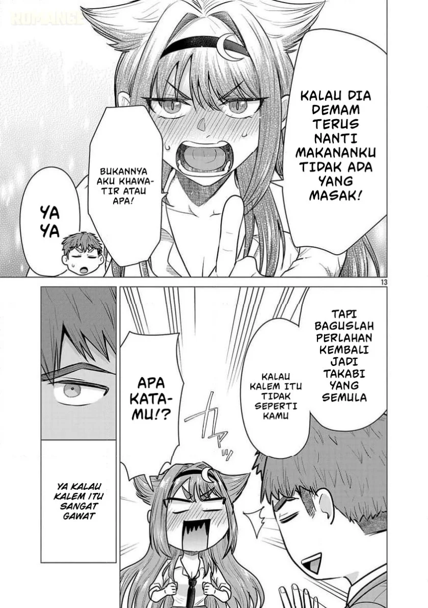 Halaman 14
