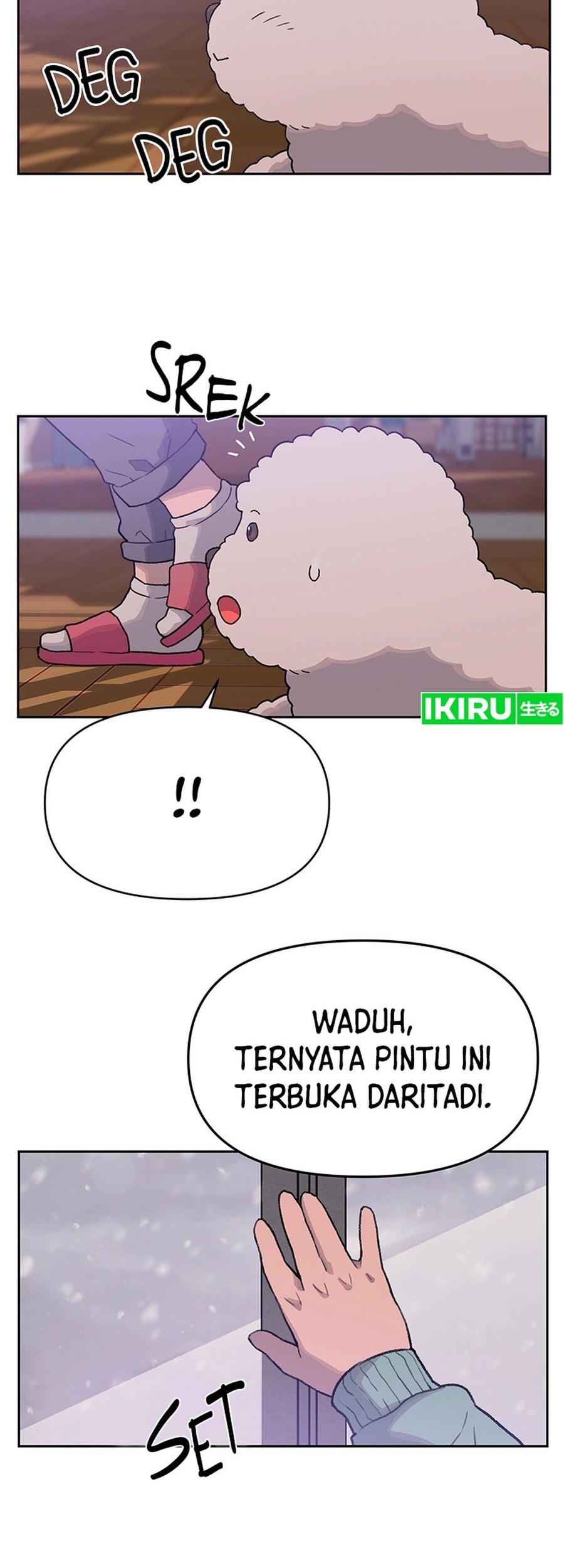 Halaman 17