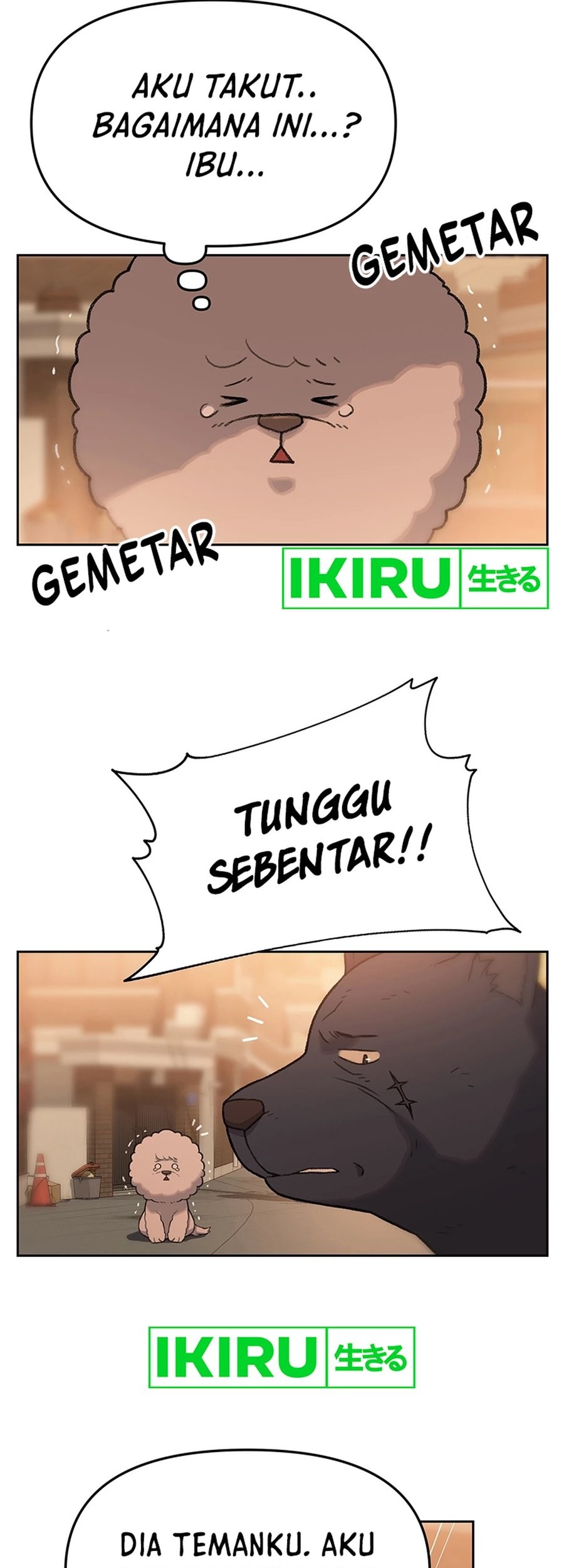 Halaman 19