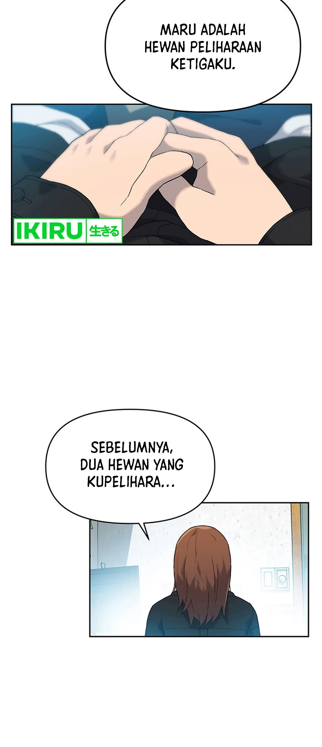 Halaman 29