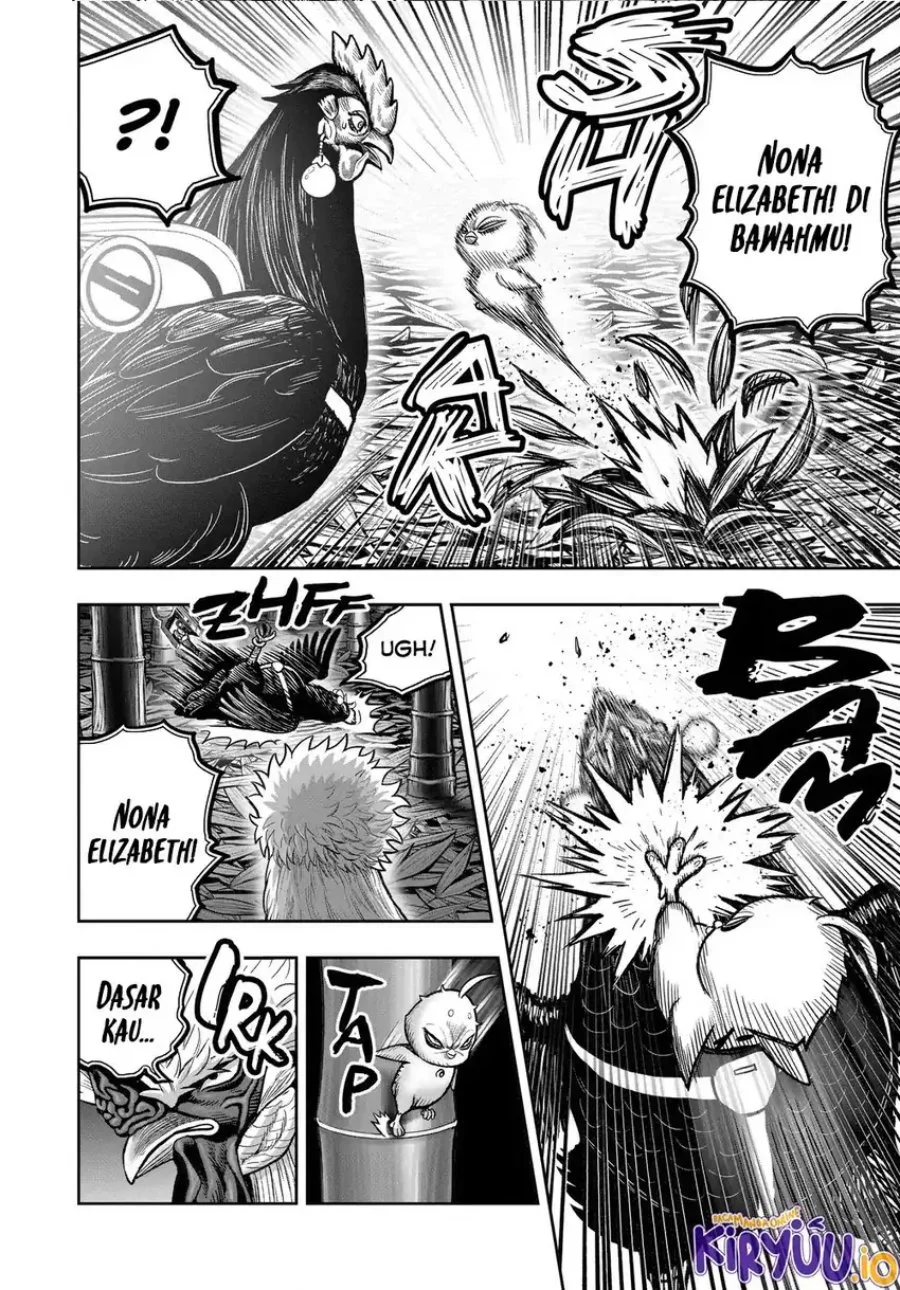 Rooster Fighter Chapter 33 Gambar 17