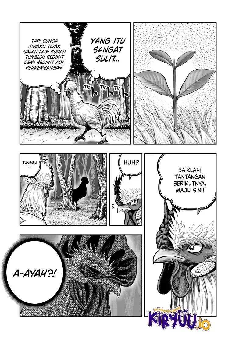Rooster Fighter Chapter 49 Gambar 22