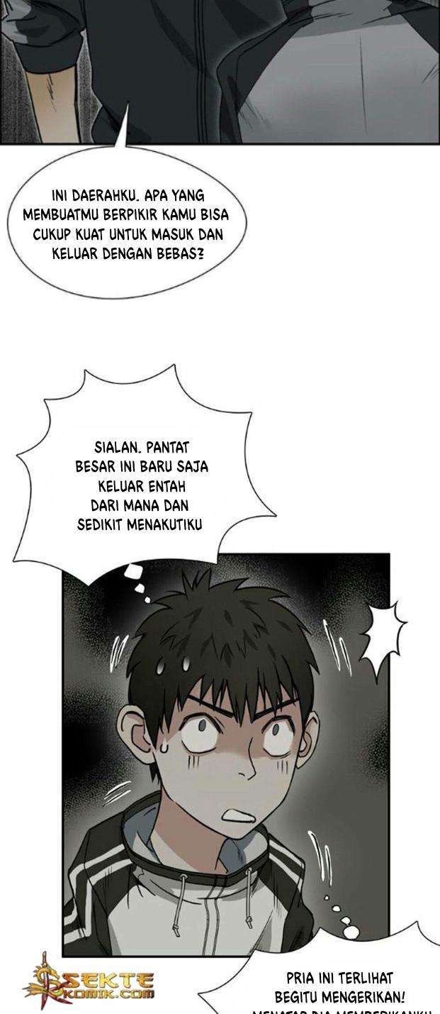 Halaman 17