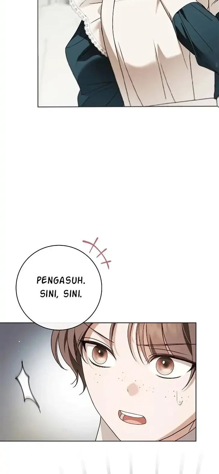 The Count’s Secret Maid Chapter 81 - Halaman 27