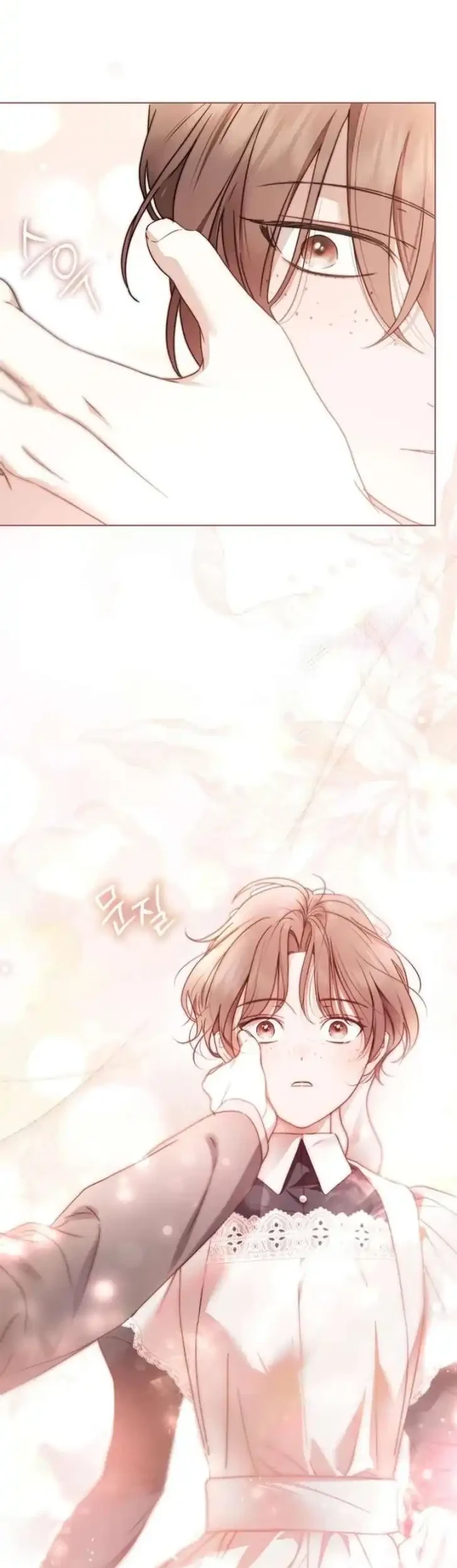 The Count’s Secret Maid Chapter 84 - Halaman 23