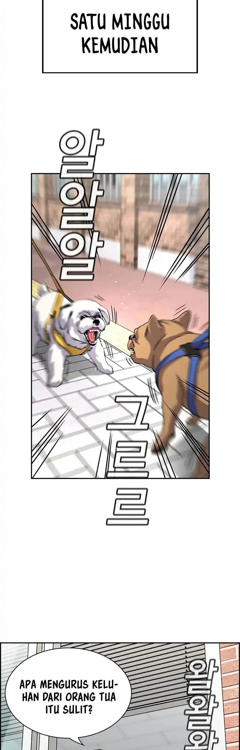 True Education Chapter 242 Gambar 28
