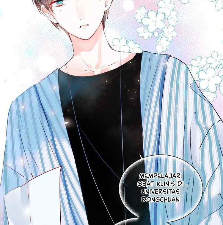 Halaman 19