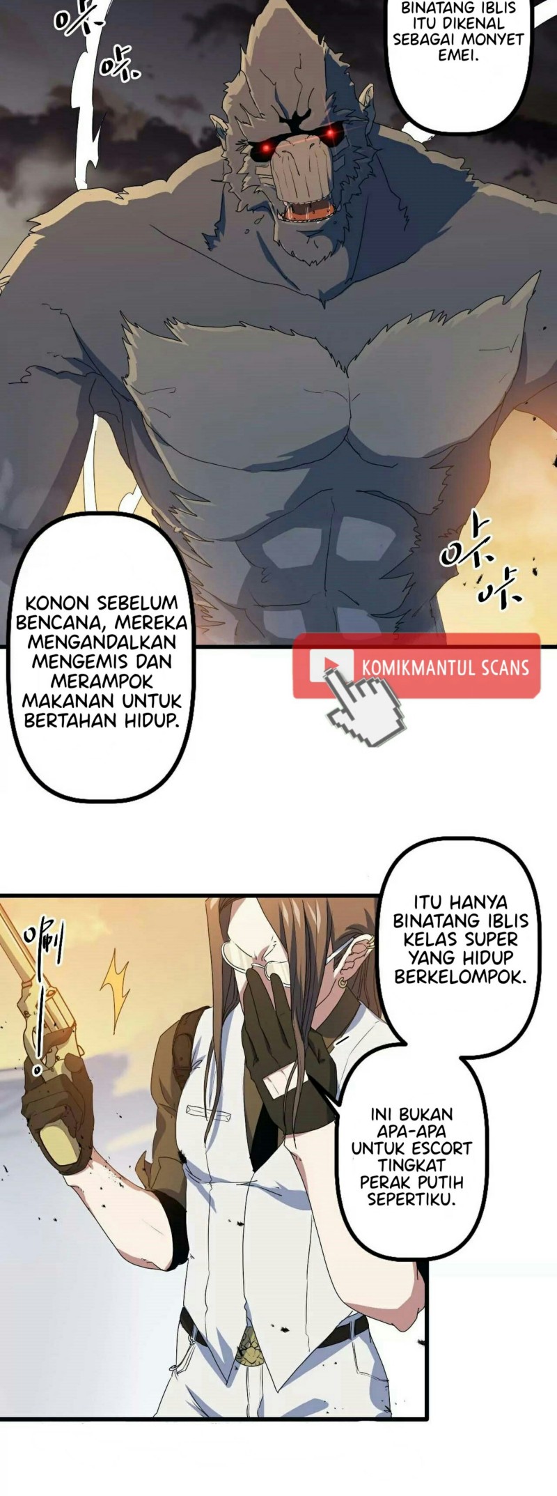 Halaman 11