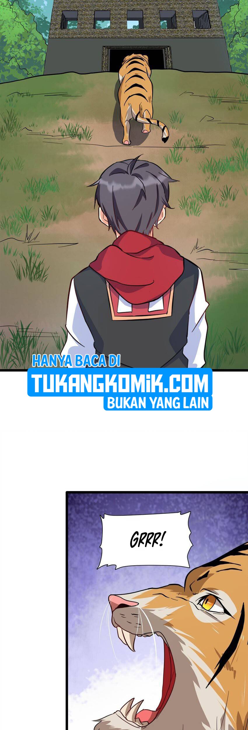 Halaman 17