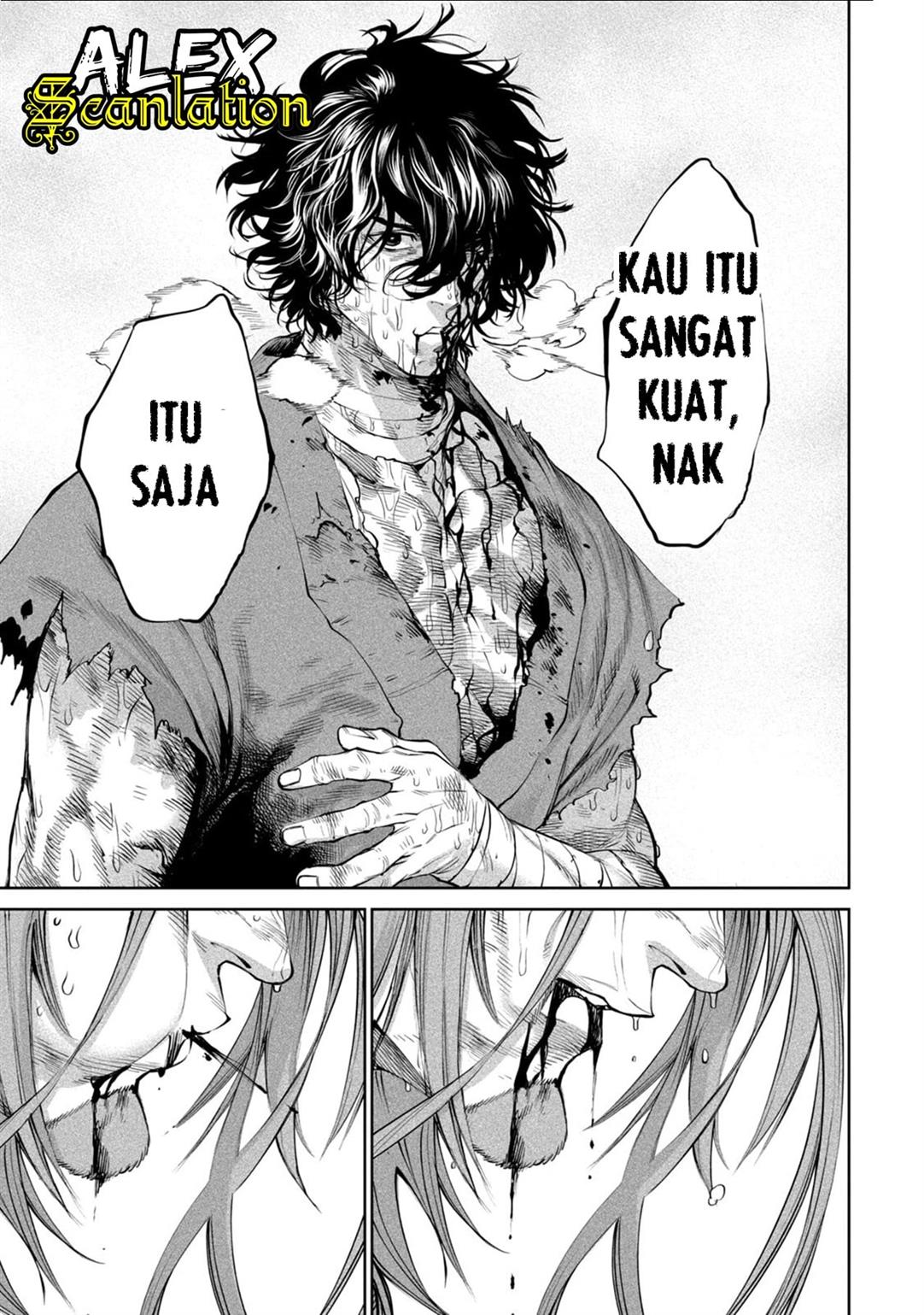Halaman 17
