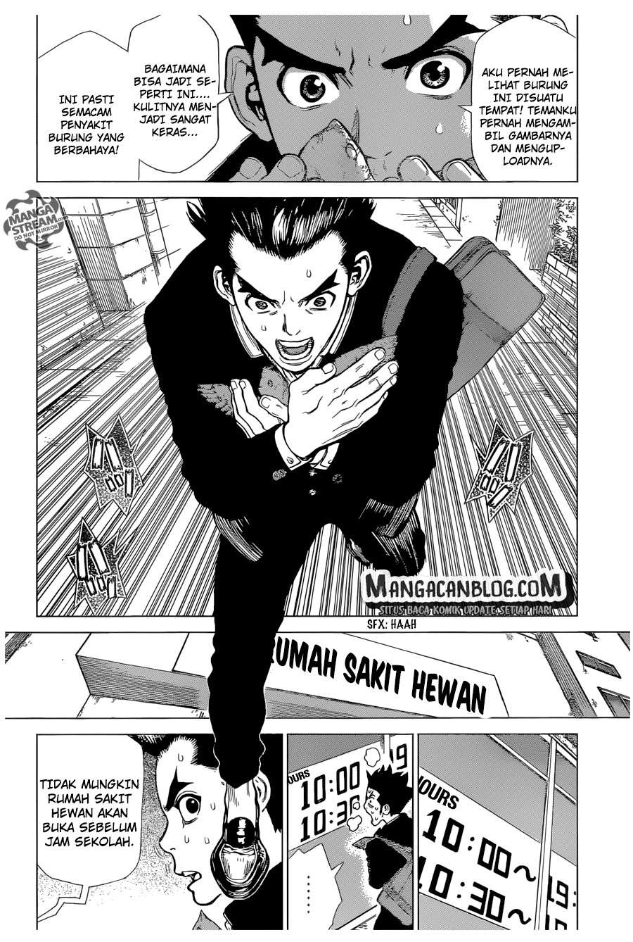 Dr. Stone Chapter 1 halaman 19