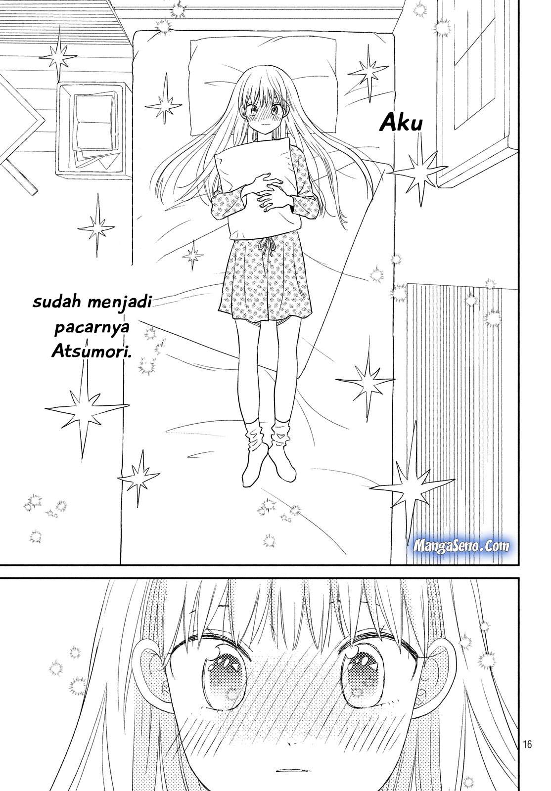 Halaman 17