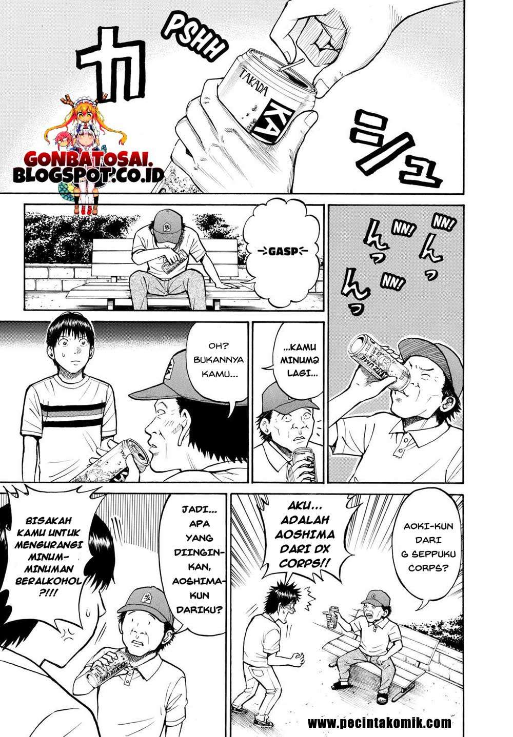 Halaman 17