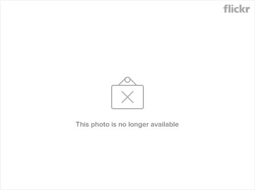 Sword Art Online - Girls Ops Chapter 2 Gambar 9